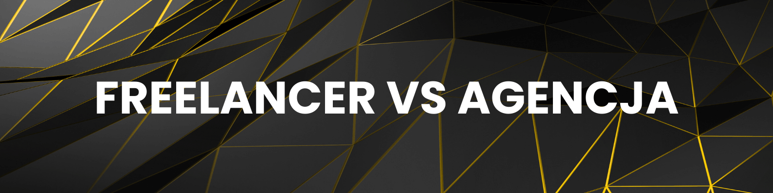 Wybór wykonawcy strony internetowej w 2026 – freelancer czy agencja